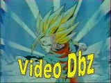 Mon AMV 100% Dbz