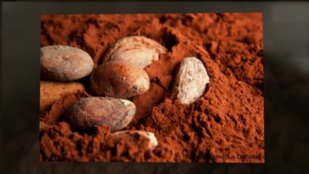 Cacao Powder and Its Supportive Facts