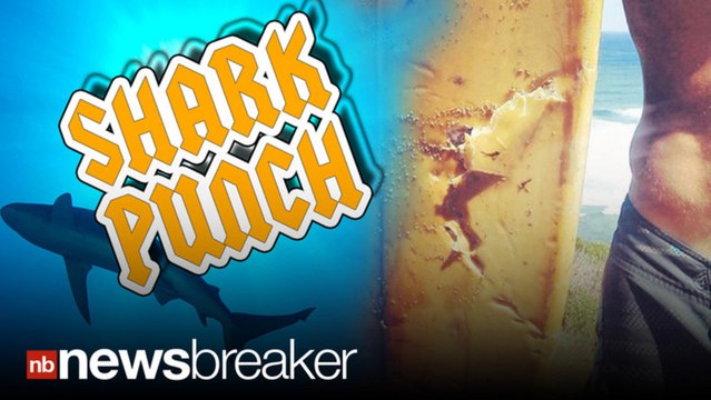 SHARK PUNCH: Hawaiian Surfer Fends off Attack With his Fist