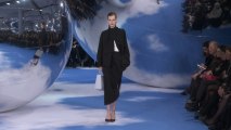 Style.com Fashion Shows - Fall 2013 Ready-to-Wear: Christian Dior