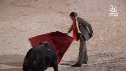 La Noche y Toros 2013 (Beaucaire)