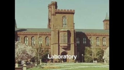 Fashion Films - Markus Lupfer Resort 2012