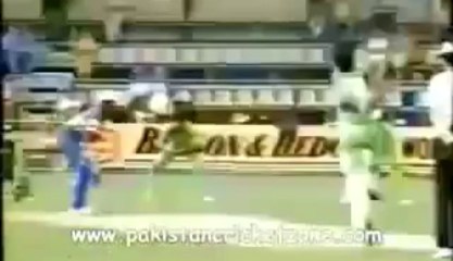 Cricket Bouncers- The best of the best