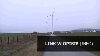 puls zycia test uklad pokarmowy