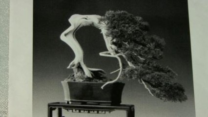 Fashion Insiders - Fall 2009 Fashion Week Preview