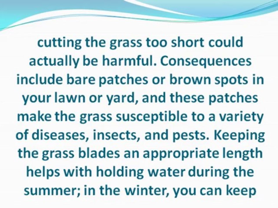 Landscaping Mistakes You Should Avoid