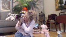 Yorkie Puppies For Sale In Ohio - Delaware - Columbus - Cleveland- Cincinnati - Dayton OH - YouTube