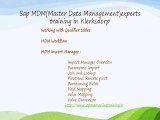 Sap MDM(Master Data Management)experts training in Klerksdorp