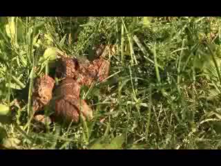 Sửa Bình Nóng Lạnh Tại Cổ Nhuế  0904 921 009