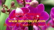 orkide toprağı satış, orkide bakımı, orkide harcı, orkide fiyatı, orkide toprağı nasıl değiştirilir, orkide yetiştiriciliği
