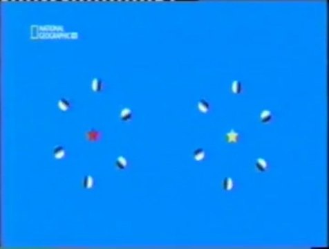 Cerebro: Percepcion del movimiento (Vision periferica)