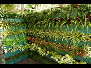 JÓ CAP 38  - A BIBLIA NA LINGUAGEM DE HOJE