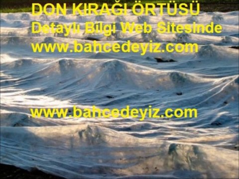 ÇİĞ KIRAĞI DON ÖRTÜSÜ,ÇİĞ-KIRAĞI-DON-ÖRTÜSÜ, Kırağı örtüsü, kırağı-örtüsü, don kırağı örtüsü