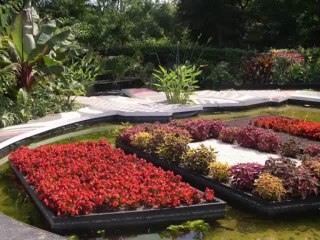 JÓ CAP 40  - A BIBLIA NA LINGUAGEM DE HOJE