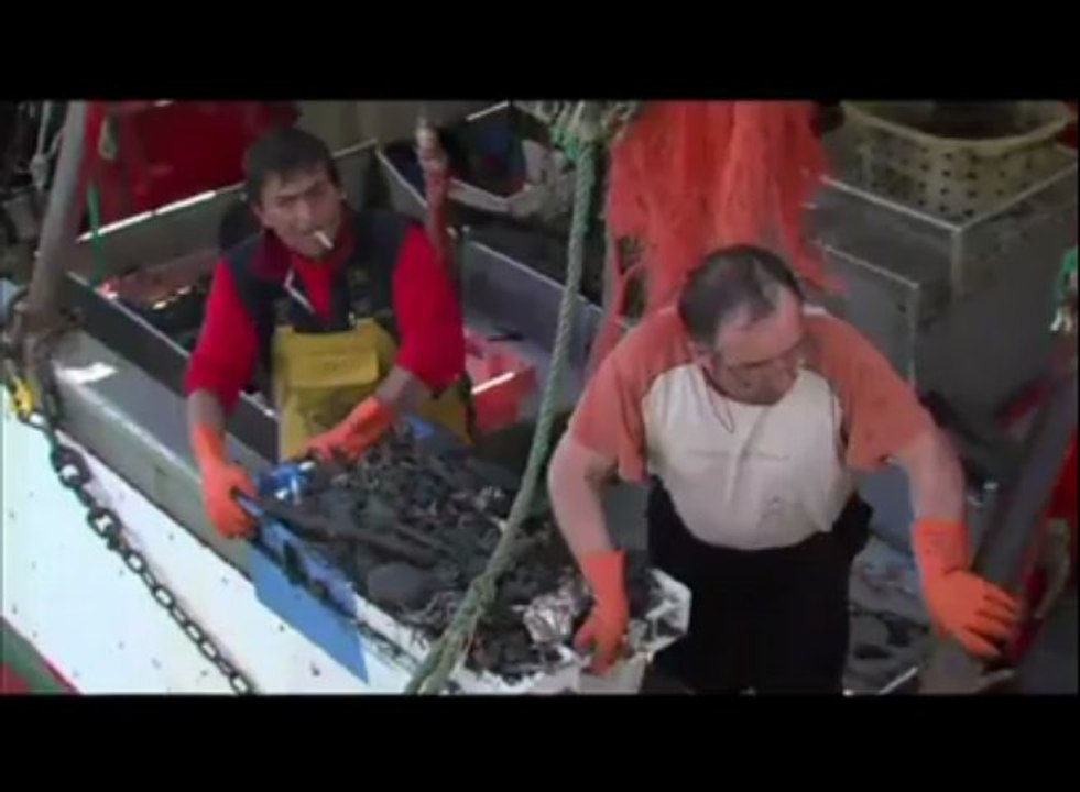Loctudy. Action des pêcheurs contre le clapage