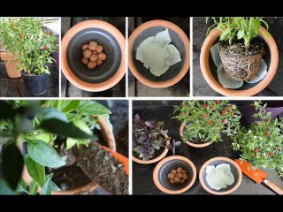 JÓ CAP 41  - A BIBLIA NA LINGUAGEM DE HOJE