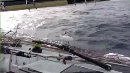 Vendée Globe. Heureux qui comme Alessandro di Benedetto...