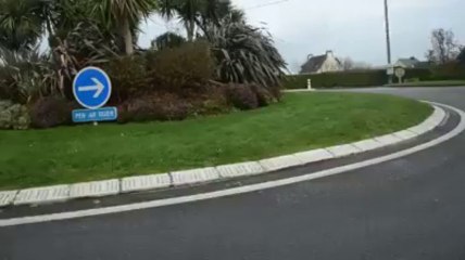 Un cheval en divagation à Carantec