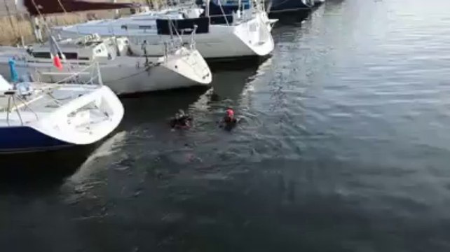 Étudiant disparu à Lorient. Les plongeurs sondent le bassin à flot