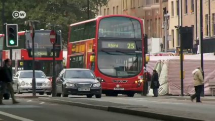 Großbritannien: Die Vogelinsel der Superlative | Europa Aktuell