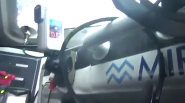 Dominique Wavre et les dauphins