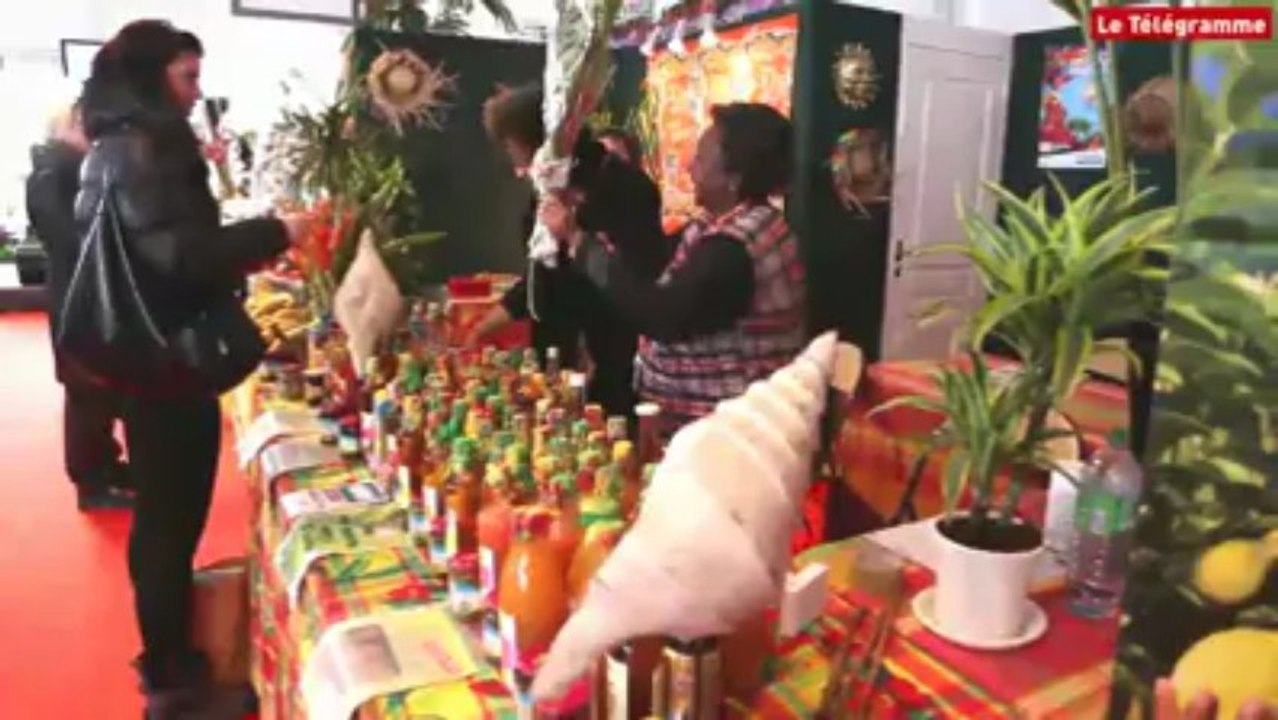 Brest. Sur les pontons avant la Transat Bretagne-Martinique