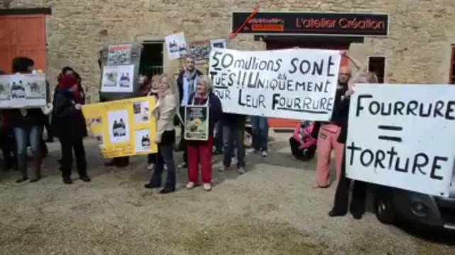 Manif des anti fourrure à Pluneret
