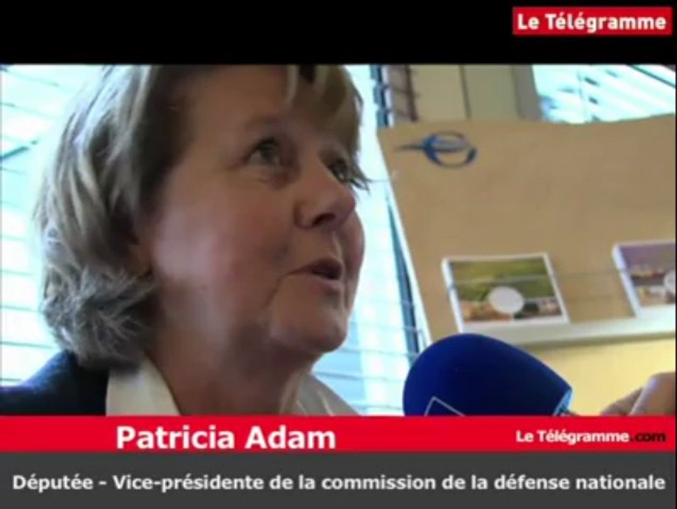 Affaire Cahuzac : Patricia Adam réagit à une éventuelle implication de l'armée