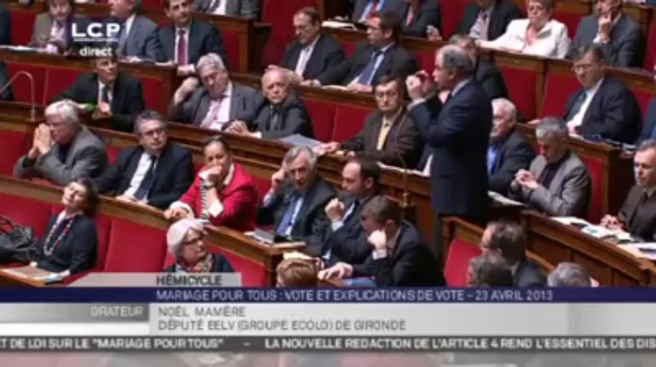Mariage Pour Tous. Intervention de Noël Mamere à L'assemblée Nationale