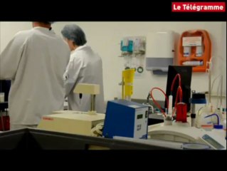 Yffiniac. Paysan Breton lance sa crème fraîche