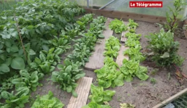 Esquibien (29). Ils troquent leurs légumes via internet