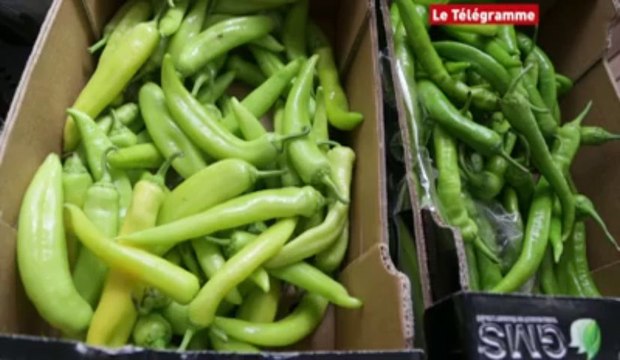 Vannes. La communauté turque s'inquiète