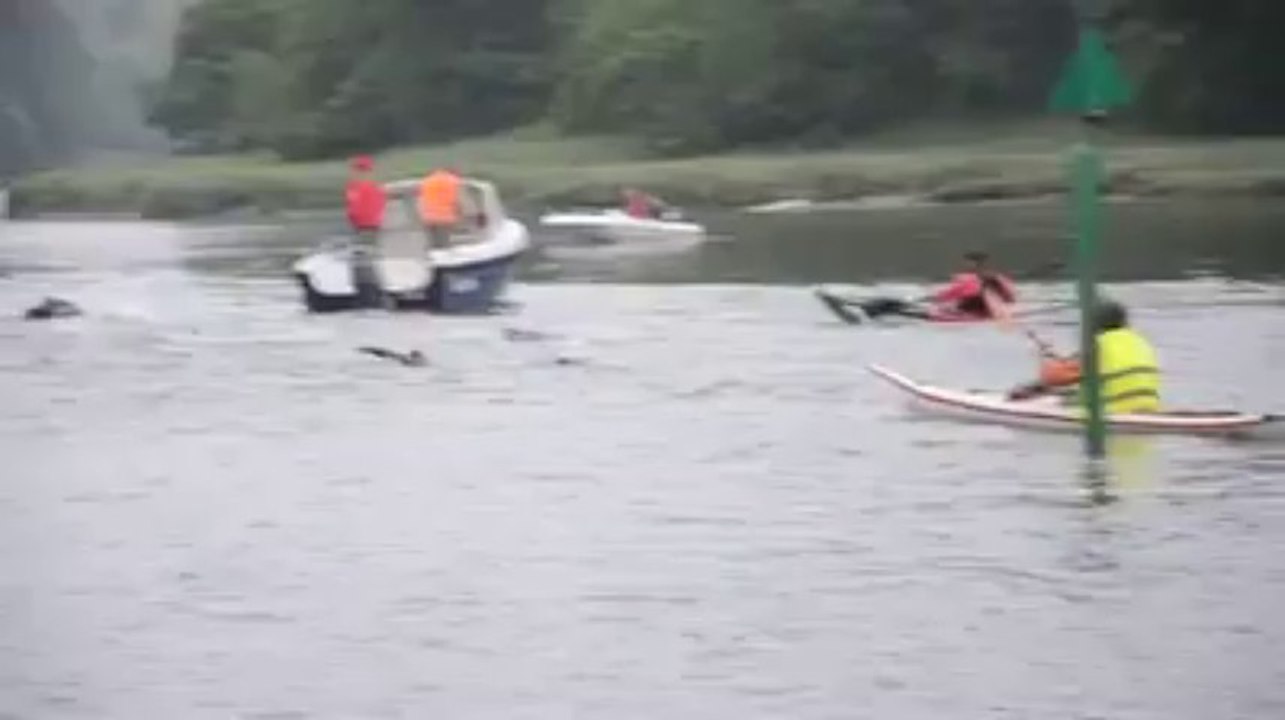 Paimpol. Descente du Trieux