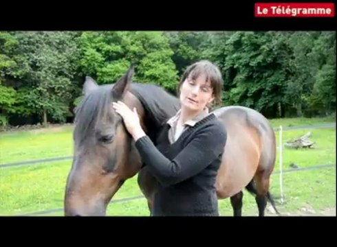 Kerpert (22). Une école d'équitation à cheval sur l'équi-libre