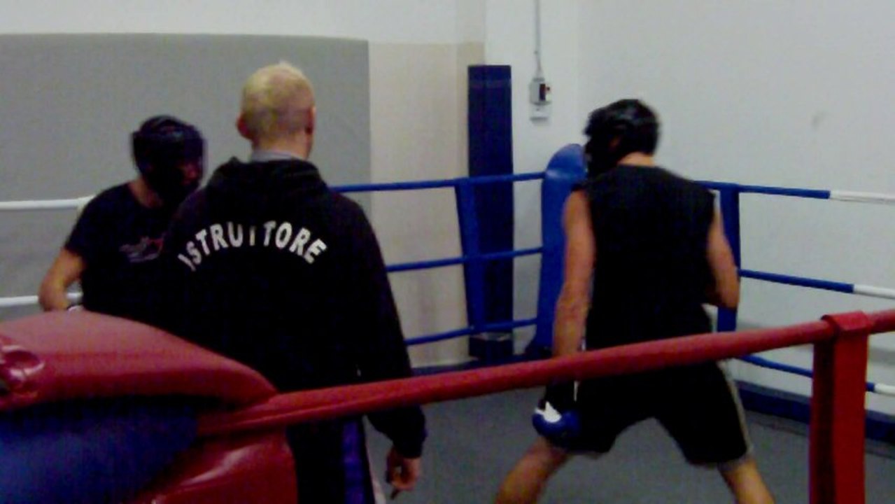 daniel vs stefano  ex