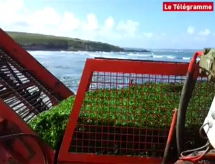 Plonévez-Porzay (29).  Une première pour valoriser  les algues vertes