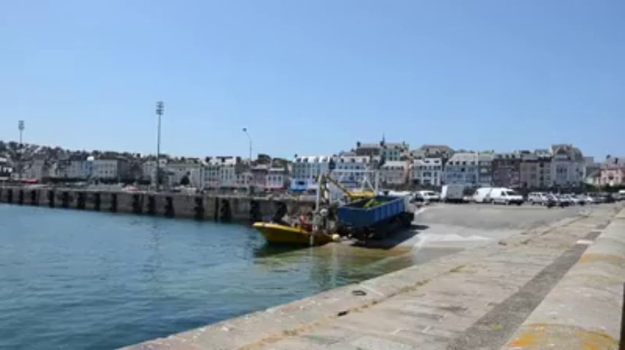 Ramassage d'algues vertes en baie de Douarnenez