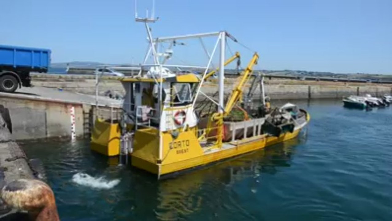 Ramassage d'algues vertes en baie de Douarnenez