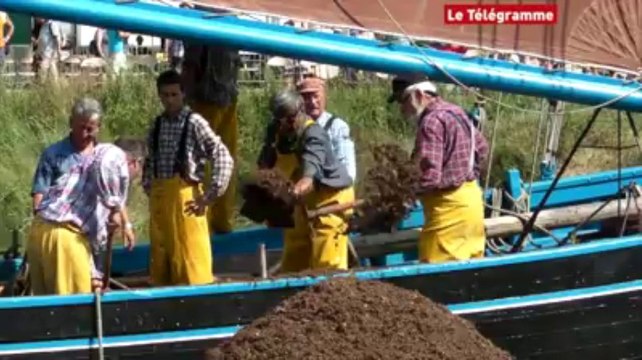 Plougastel (29). Fête du maërl, une histoire locale