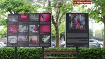 La Gacilly (56). Des collégiens exposent au festival photo