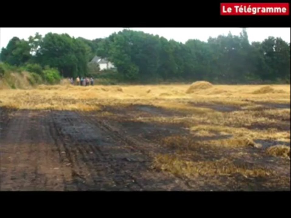 Plourin. 9 hectares de paille en fumée !