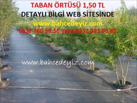 TABAN ÖRTÜSÜ,TABAN-ÖRTÜSÜ,malçlama örtüsü,malçlama-örtüsü,taban örtüsü jüt,taban-örtüsü-jüt,taban ortusu,taban-ortusu,taban örtüsü fiyatları