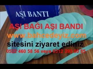 Download Video: AŞI BANDI,aşı bağı,aşı-bağı,AŞI BAĞI,aşı bantları,aşı bağları,aşı bandı ve aşı macunu,aşı-macunu,aşı bandı fiyatları