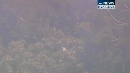 Pilot dies battling Australian fires