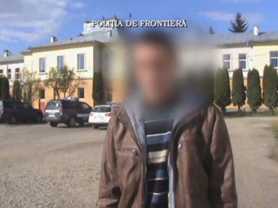 tigari_mm_24.10.2013