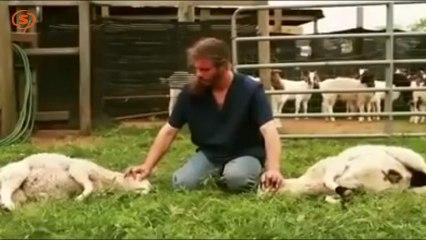 Allah'a Tam Teslimiyet! video izle,video seyret