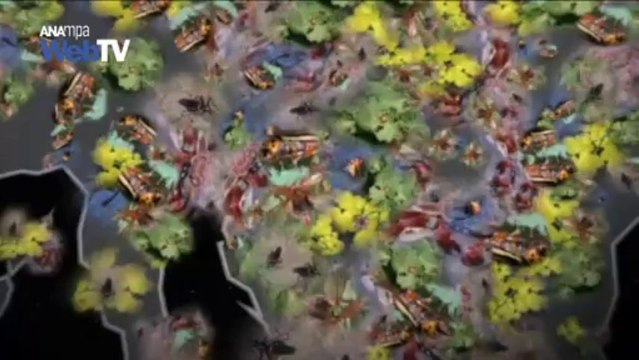 Είδη-εισβολείς απειλούν την ευρωπαϊκή οικονομία