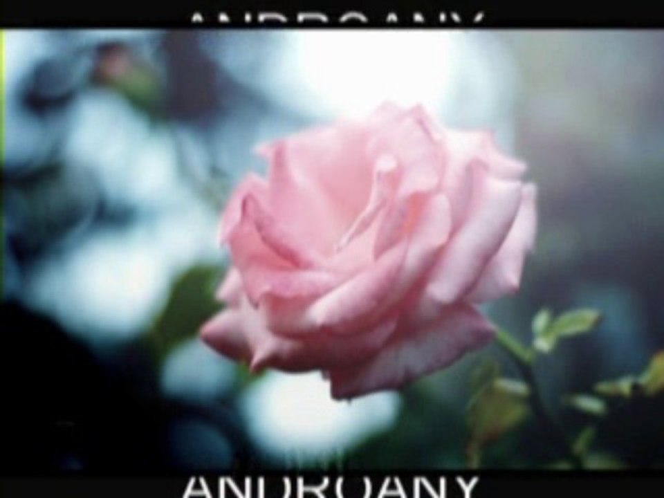 FETINAO ANDROANY (NARISOA) cover BIARY