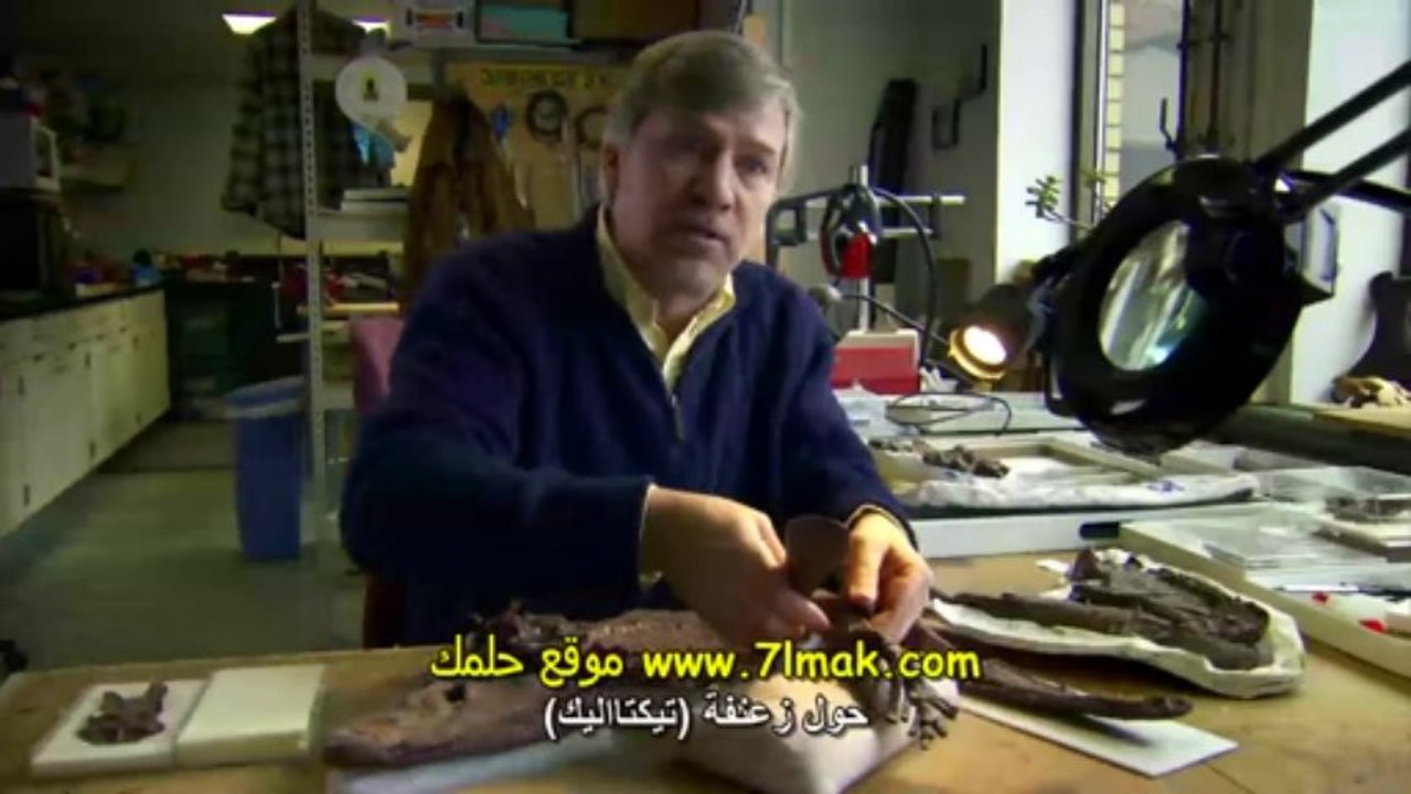 الفيلم الوثائقى صعود الحيوانات و انتصار القاريات