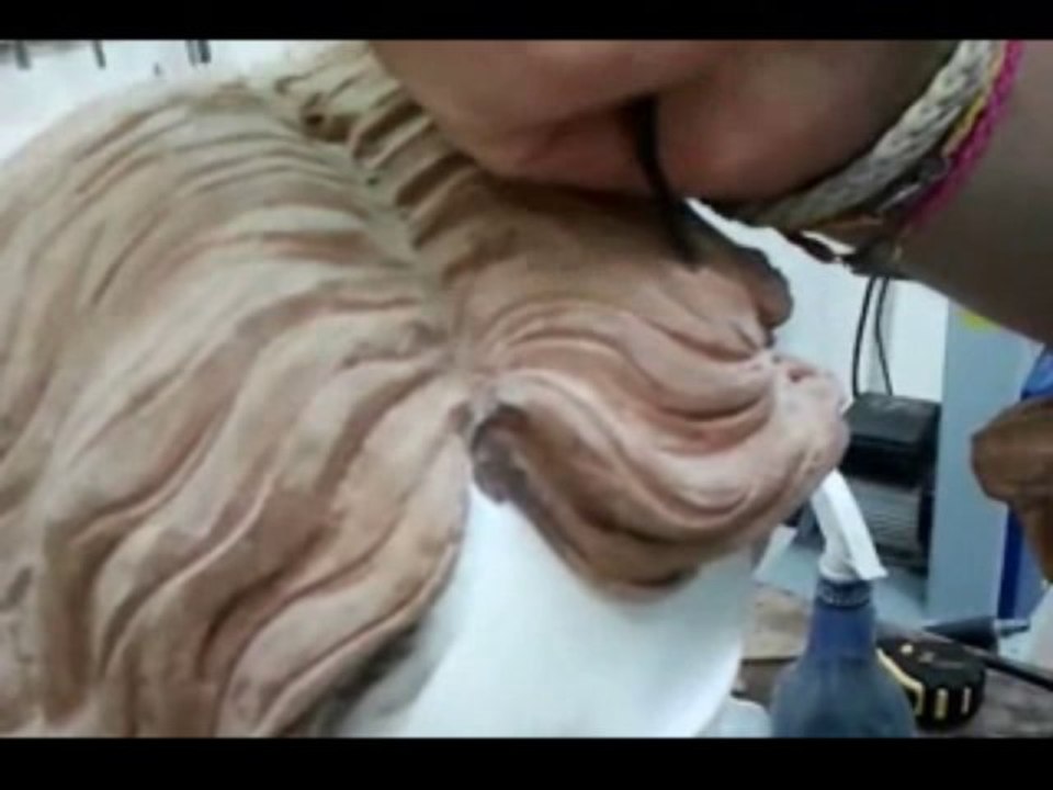 video para la web